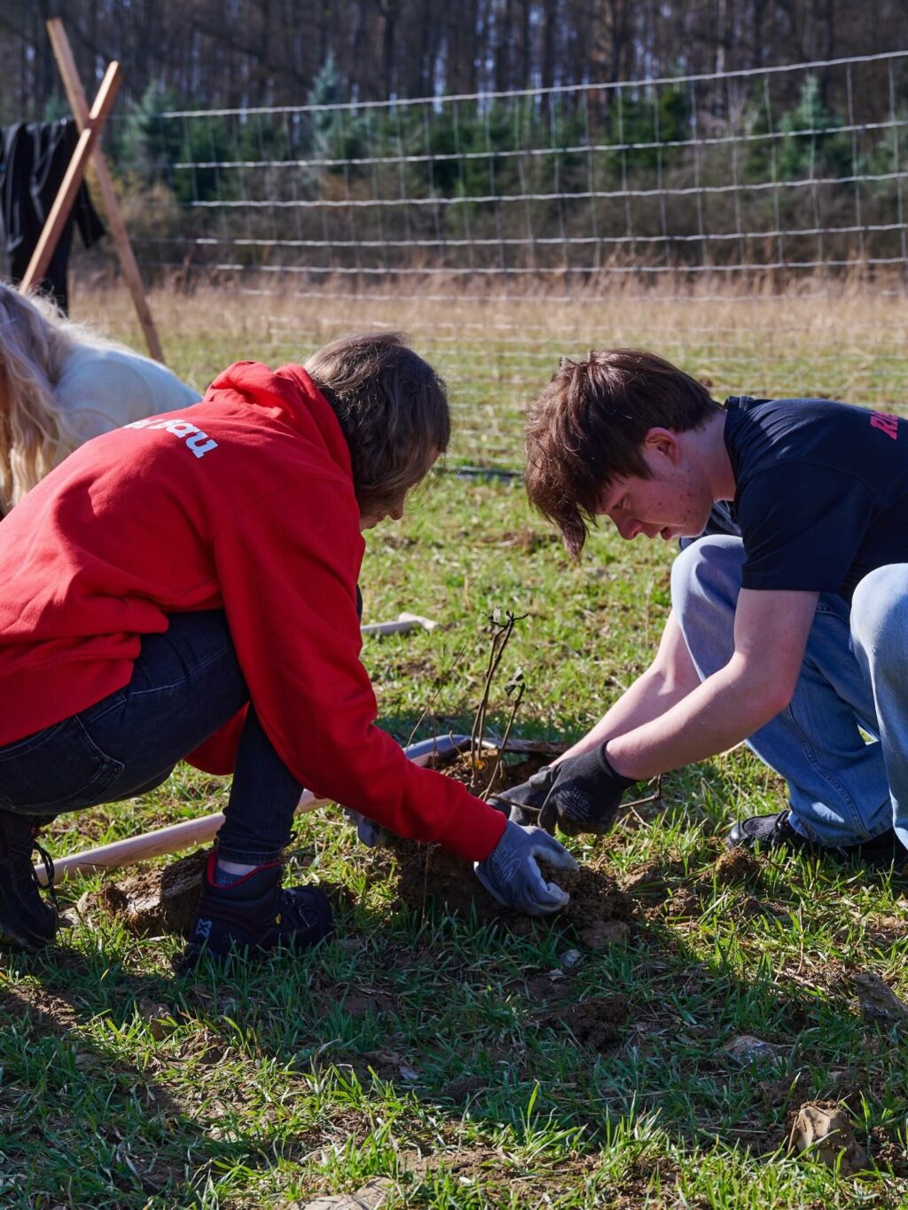 Instagram post from riedelbau. This post is in position 1.